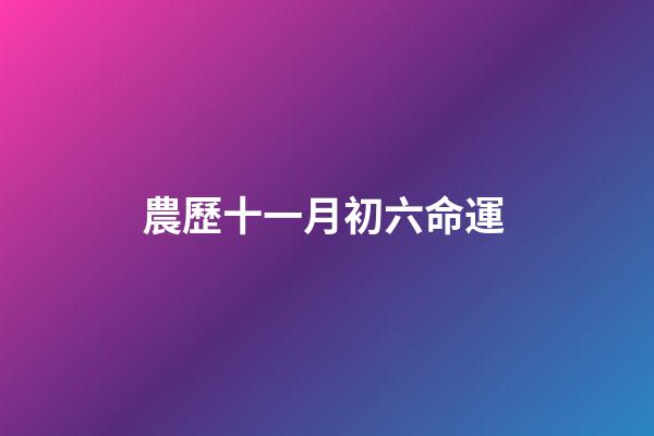 農歷十一月初六命運 (農歷十一月初六命運怎么樣)-第1張-觀點-玄機派